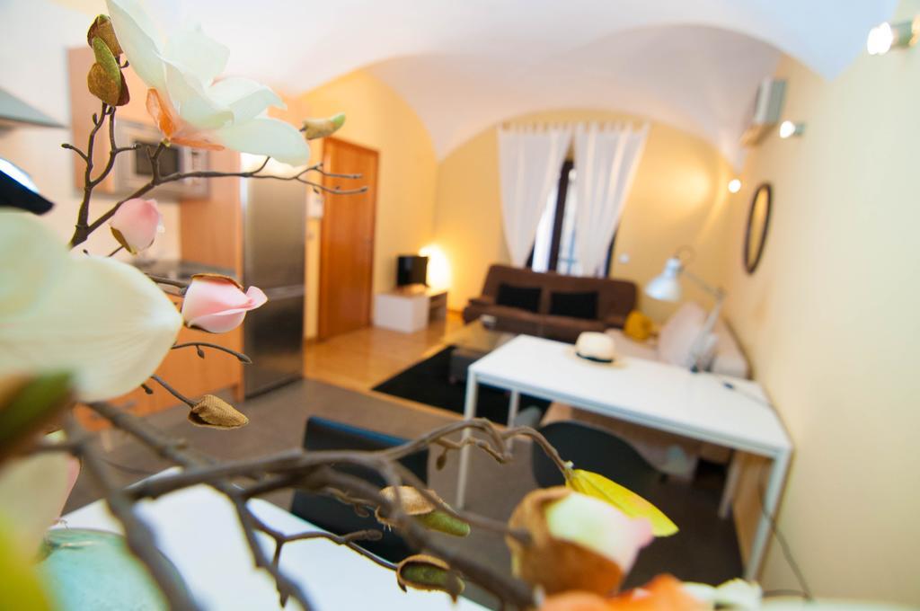 Apartamento De La Parte Antigua De Caces